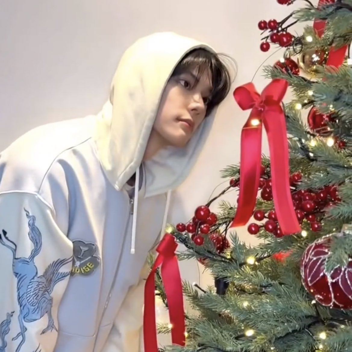 haru2chio's tweet photo. oomfs just took some pics of my cat playing by the christmas tree 😅 isn’t he cute ? 
#NICHOLAS #SMTR25 https://t.co/jdEmu5HtIK