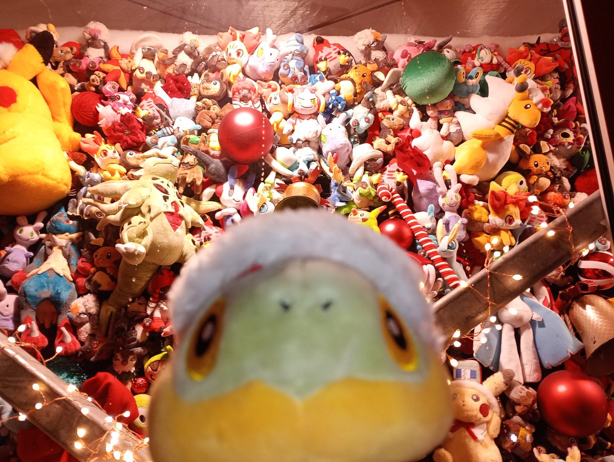 すずもと tweet media