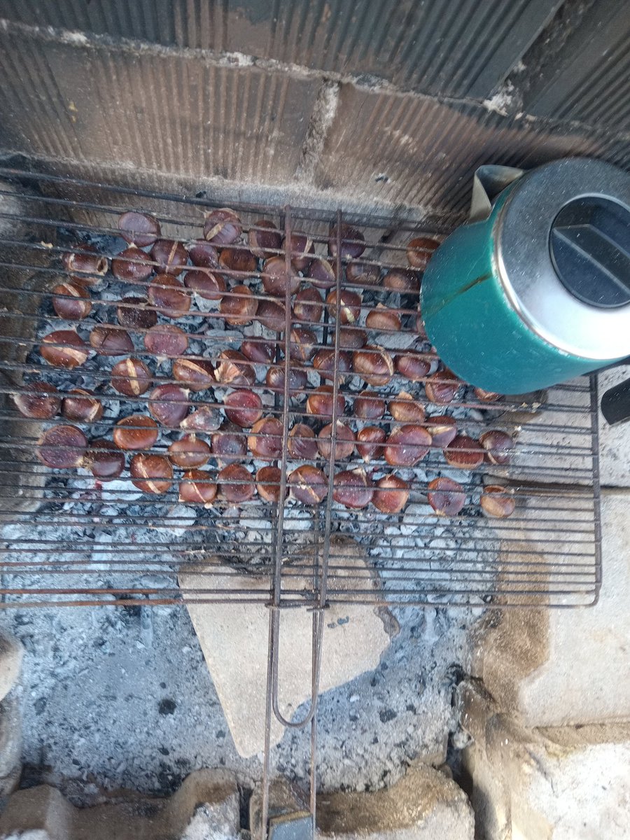 Kestane kebap
Çayda yanında