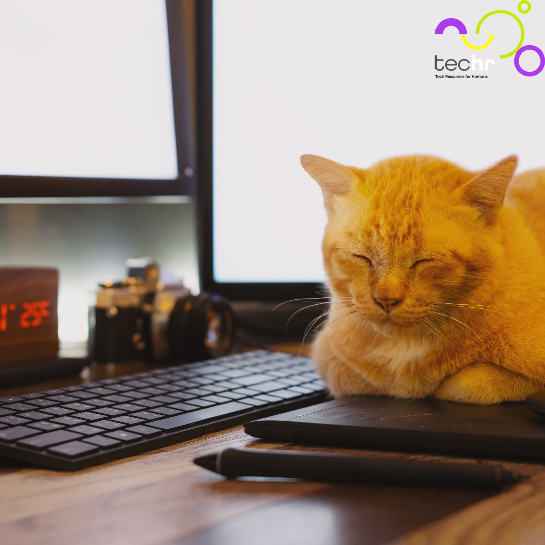 Sleeping has a huge impact on productivity, engagement, and motivation, both in and outside of work. So imagine its impact on learning...😅 hubs.la/Q03YC35g0

#employeeengagement #employeemotivation