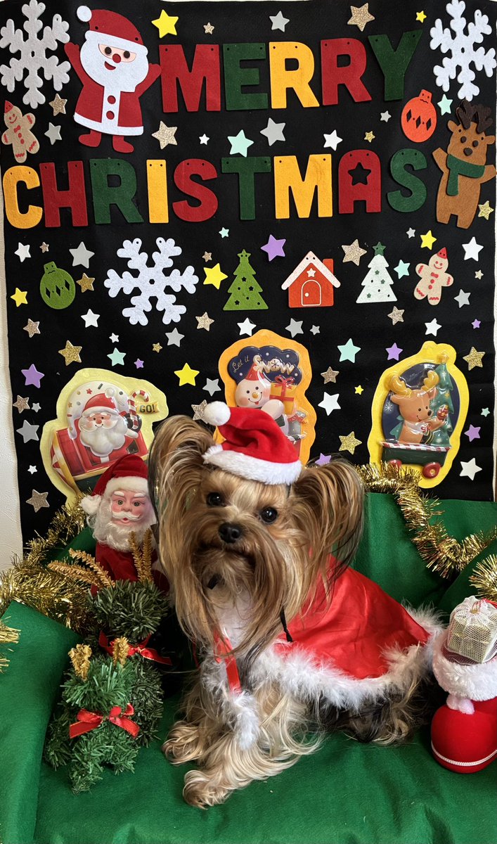 nmZnpFcTSPix8Vc's tweet photo. Merry Xmas🎄⛄️
素敵なXmasになりますように…⭐️ https://t.co/cl9B4wf3MJ