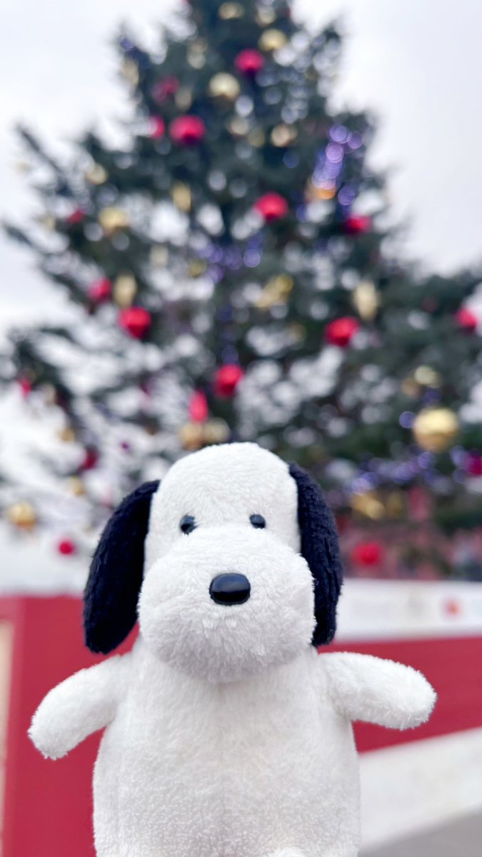 やめぴ やめぴ (@yamekawaeee) / Posts / X