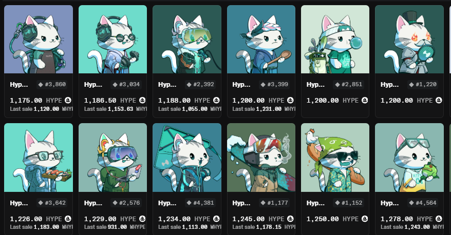 cellehype's tweet photo. Hypurr has shown that it is still possible to release an NFT that the community watches with attention, and not just mint and forget https://t.co/YNB80xCpng