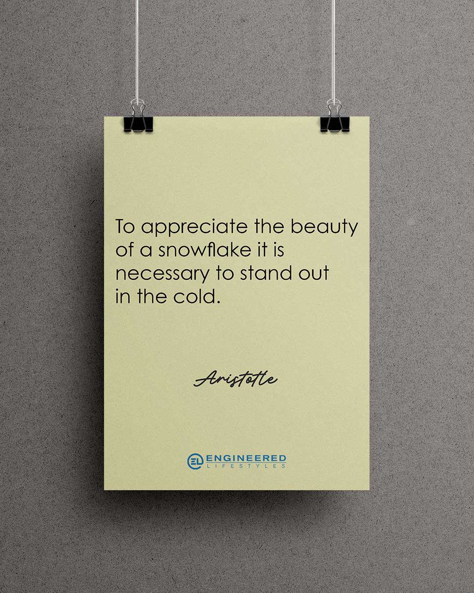 EngLifestyles's tweet image. “To appreciate the beauty of a snowflake it is necessary to stand out in the cold.” ~ Aristotle

Entrepreneurship asks for patience, perspective, and grit.

#SeasonOfGrowth #EntrepreneurPerspective #MindsetMatters #StayGrounded #BusinessWisdom