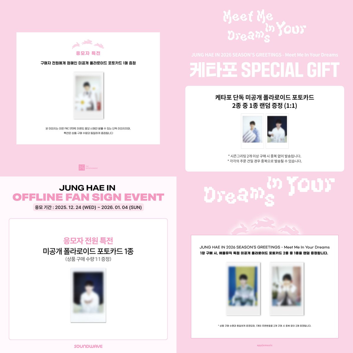Jung Hae In 2026 Season's Greetings 'Meet Me In Your Dreams