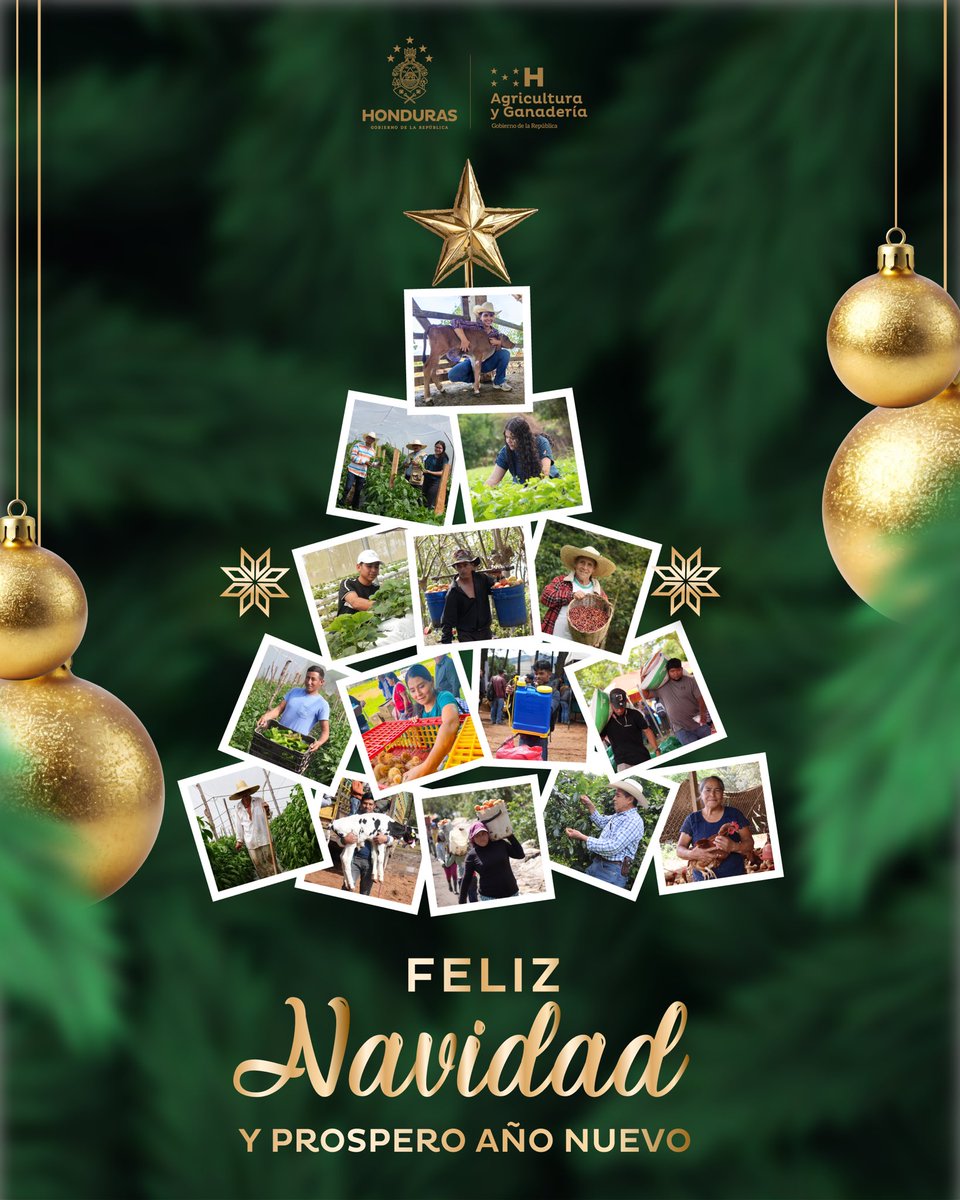 🔴 Prosperidad y Paz, para todas las familias en #Honduras 🇭🇳, Feliz Navidad y Venturoso Año Nuevo. 

#UnidosPorElAgro