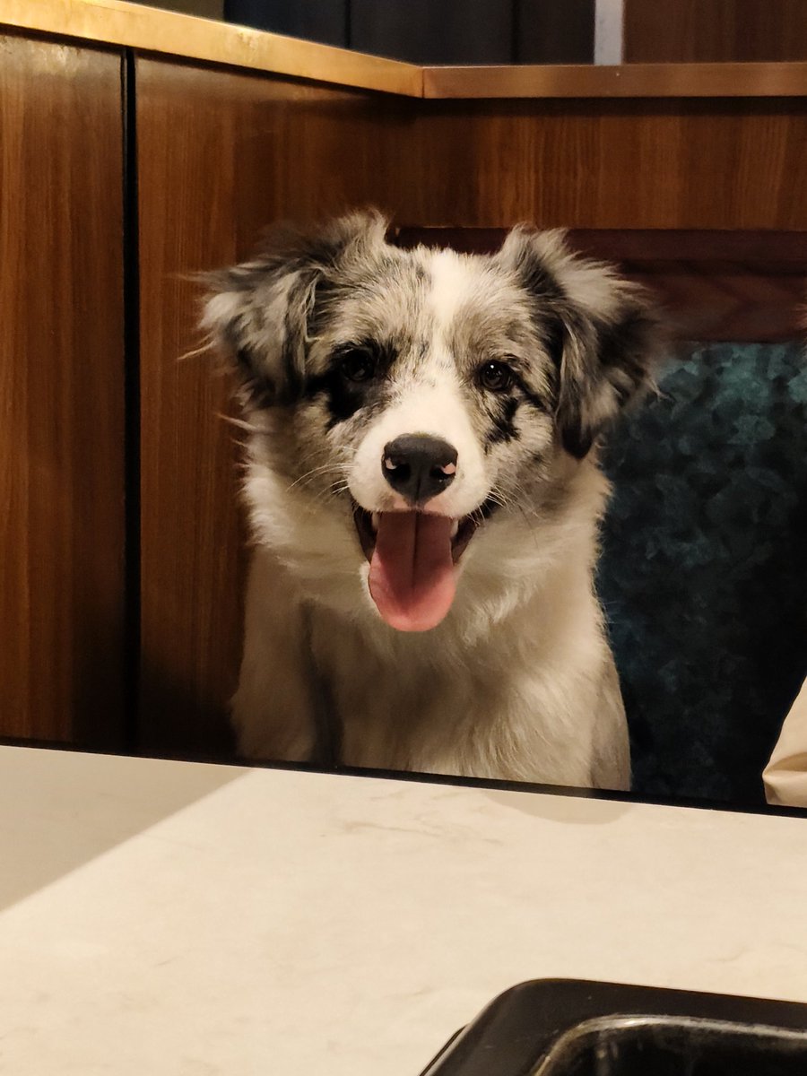 我的小斗斗˗ˋˏ( ´͈ ᗜ `͈ )ˎˊ˗