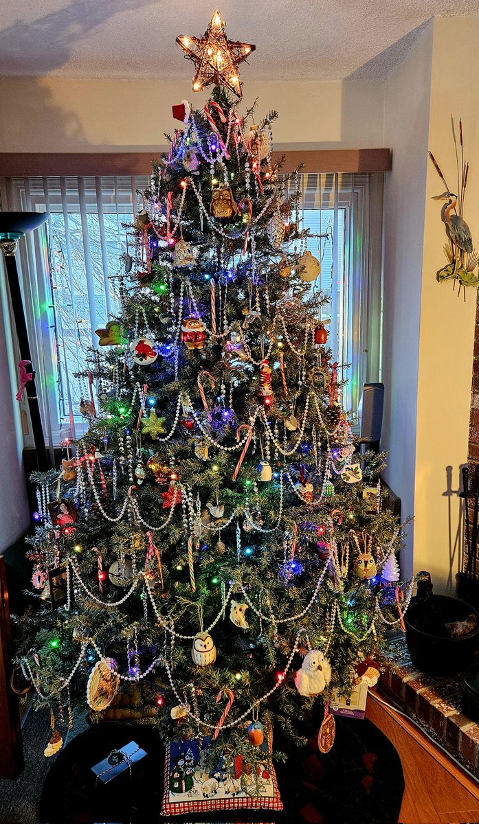 beeebzzz's tweet photo. @JustineBateman Merry Christmas Eve! 🎄❄️🥂 https://t.co/zW7ziOTiw6