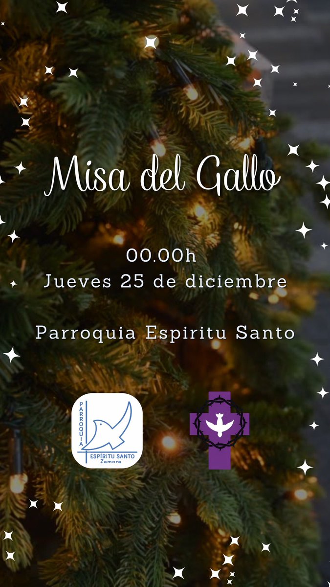 EspirituSantoZamora tweet media