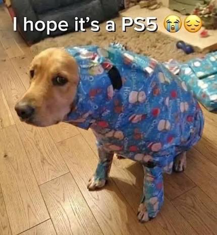 Helufcb's tweet image. Hoffentlich kriege ich endlich meine PS5