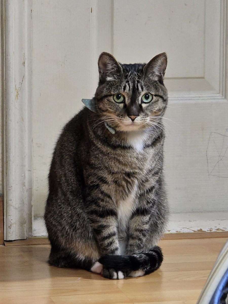 탐라의 이모 삼춘 리춘 함모니 하라버지 언니 오빠 동생들 모두 메리크리스마스에오. 마리는 오늘 주사맞고 와서인지 조금 피곤해오. 그래도 하투는 아낌없이 뿌릴게오! 필요한만큼 가져가오! ❤️‍🔥❤️‍🔥❤️‍🔥❤️‍🔥❤️‍🔥❤️‍🔥❤️‍🔥❤️‍🔥❤️‍🔥❤️‍🔥❤️‍🔥❤️‍🔥❤️‍🔥❤️‍🔥❤️‍🔥❤️‍🔥❤️‍🔥❤️‍🔥❤️‍🔥❤️‍🔥