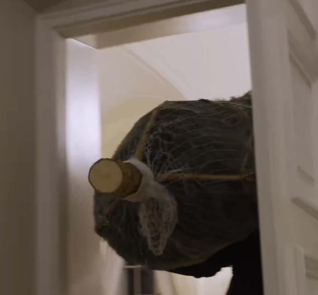 Pawel Zielinski tweet media