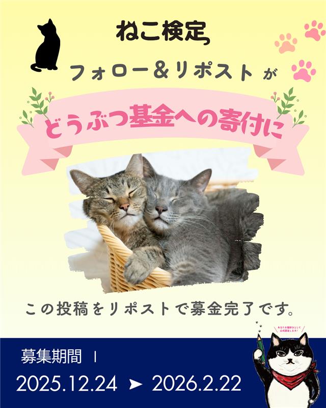 ポンスケ様❤️ご確認用です。 Xのセンシティブなメディアとペナルティについて｜ニンキィ