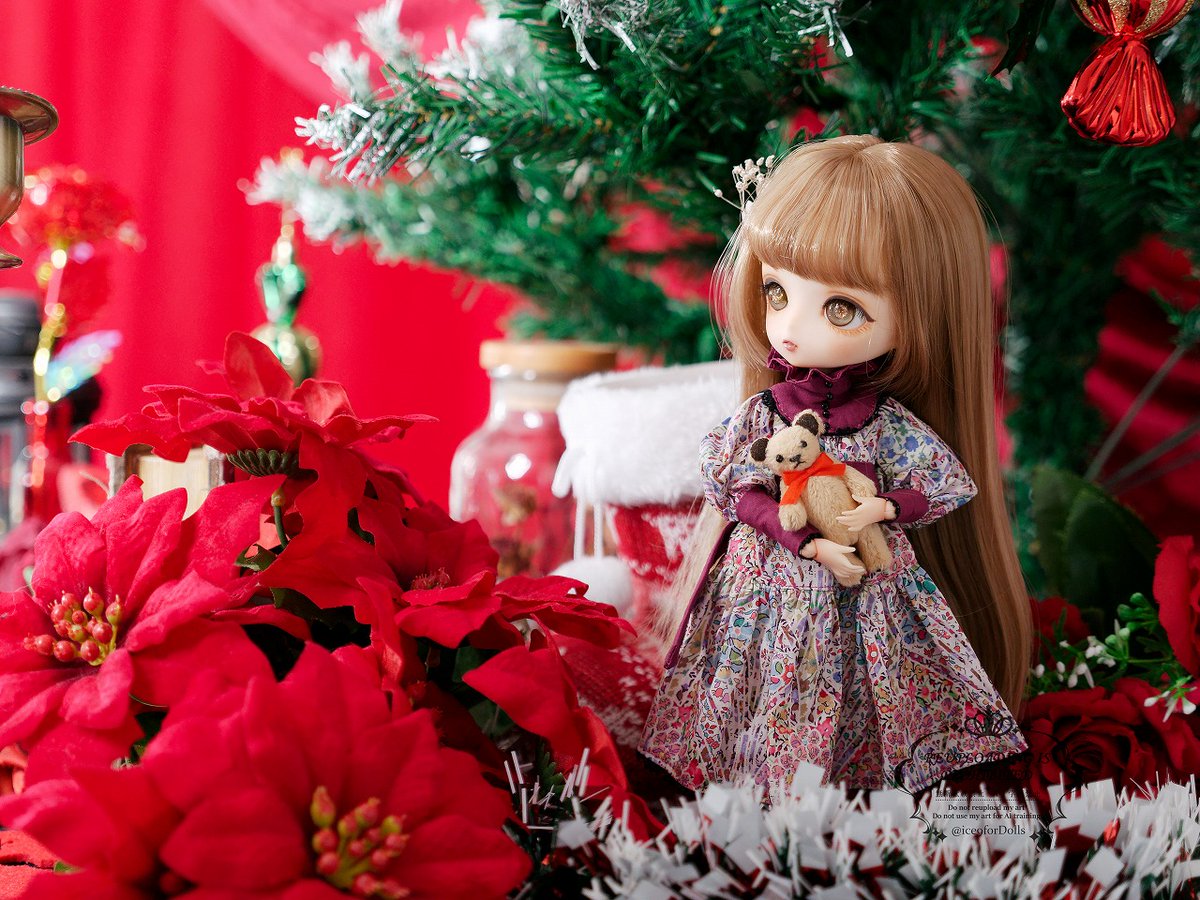 メリークリスマス！🎄
#ハルモニアブルーム
#Harmoniabloom