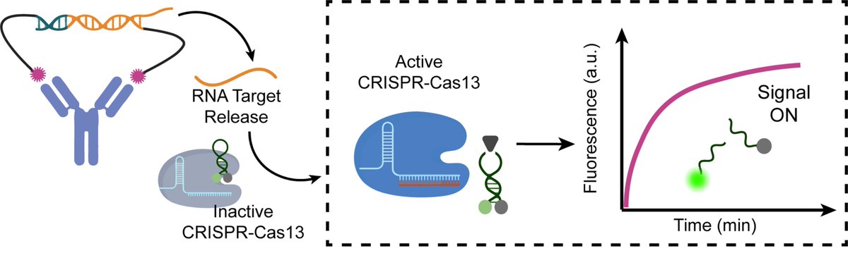 Alessandro Bertucci tweet media