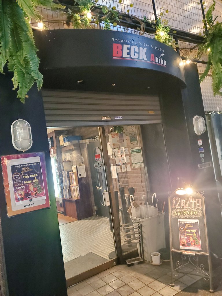 CookTsuchan's tweet image. BECK Akibaとうちゃーく🦅
蒼が似合うギターやな🐥
本当はマーシャル使いたいけどジャスコでがんばるます🐯