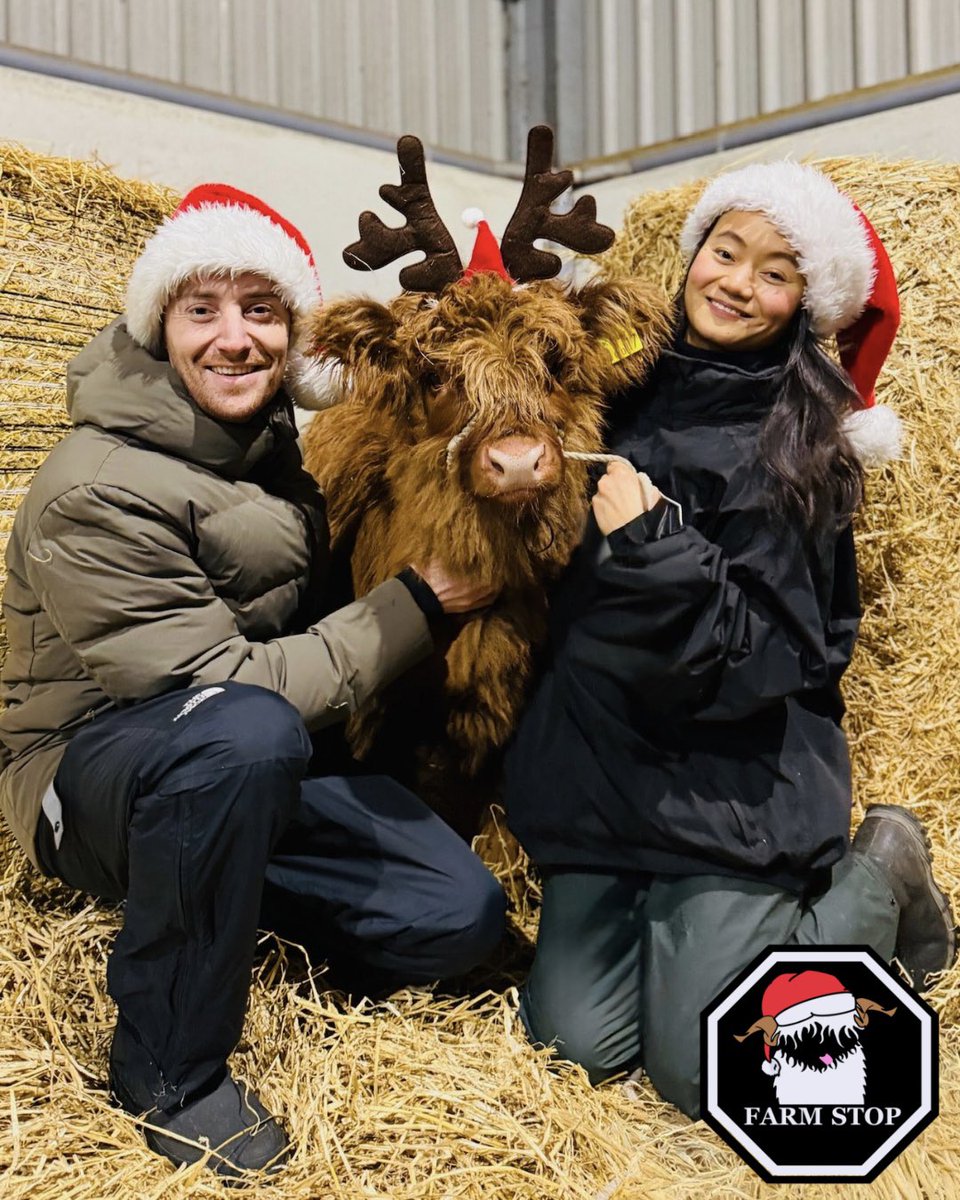 FarmStopABZ's tweet photo. 🐮❣️GETTING READY FOR CHRIST-MOOS❣️🐮
Looking for a last minute Christmas gift for an animal lover? We have you covered with gift vouchers available at: https://t.co/P5FhKguN1t ⭐️🎁
#FarmStopAberdeenshire #AnimalLover #FarmExperience #CowLove #ChristmasMagic #HighlandCow https://t.co/mRBDYi5mrv