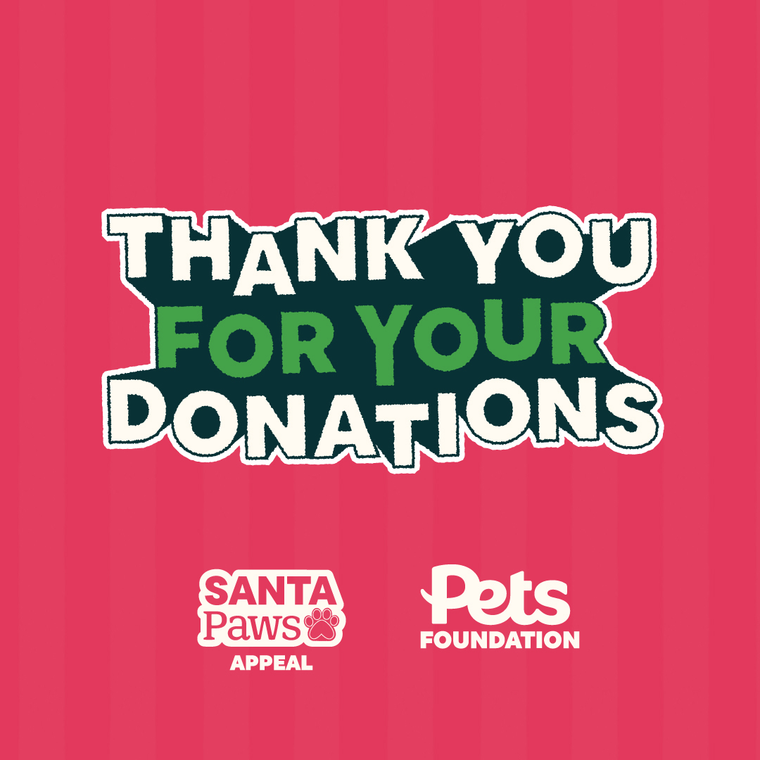A big thank you to Hove Pets at Home for supporting us during their Pets Foundation Santa Paws appeal. And an even bigger thank you to everyone who donated at Hove Pets at Home. Your support makes a huge difference. 🎄💛