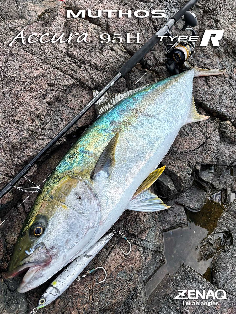 ZENAQ (@zenaq_tw) / Posts / X