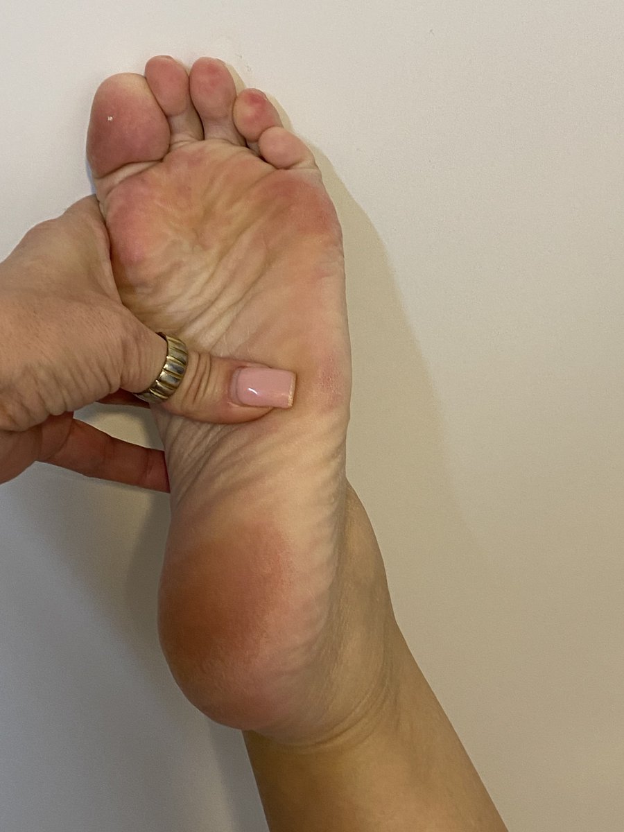 IsaGrey775's tweet photo. Good morning and merry xmas. Need you to lick my Dirty Feet clean
@rt_domm 
@modelssecret_ 
@FeetToesSoles 
@MuseFeetGallery 
@rt_feet 
@FeetForumArea 
@feetpuppy90 
@lovef33t1 
@HerSexyFeet 
@Tweety_Feet 
@Feetopia 
@bigfeetgirls https://t.co/lwebfNpmRF