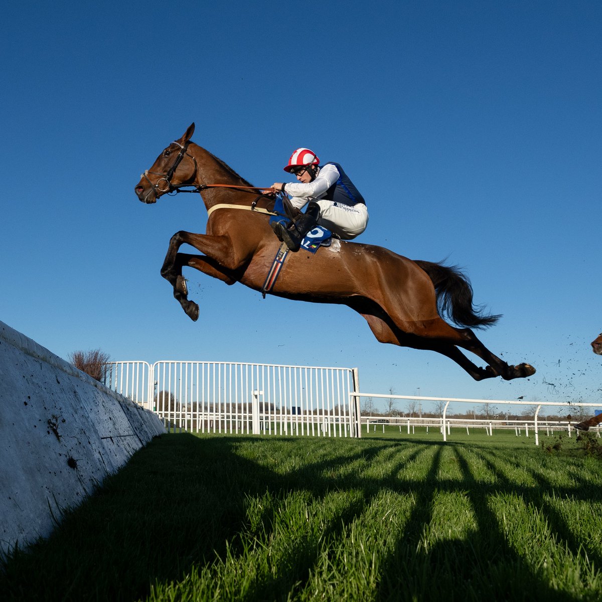Racing Post tweet media