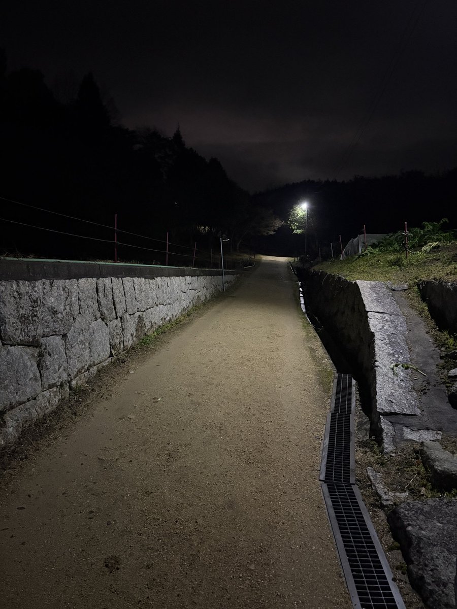 ヤモリの悪魔 (@yamori_devil) / Posts / X