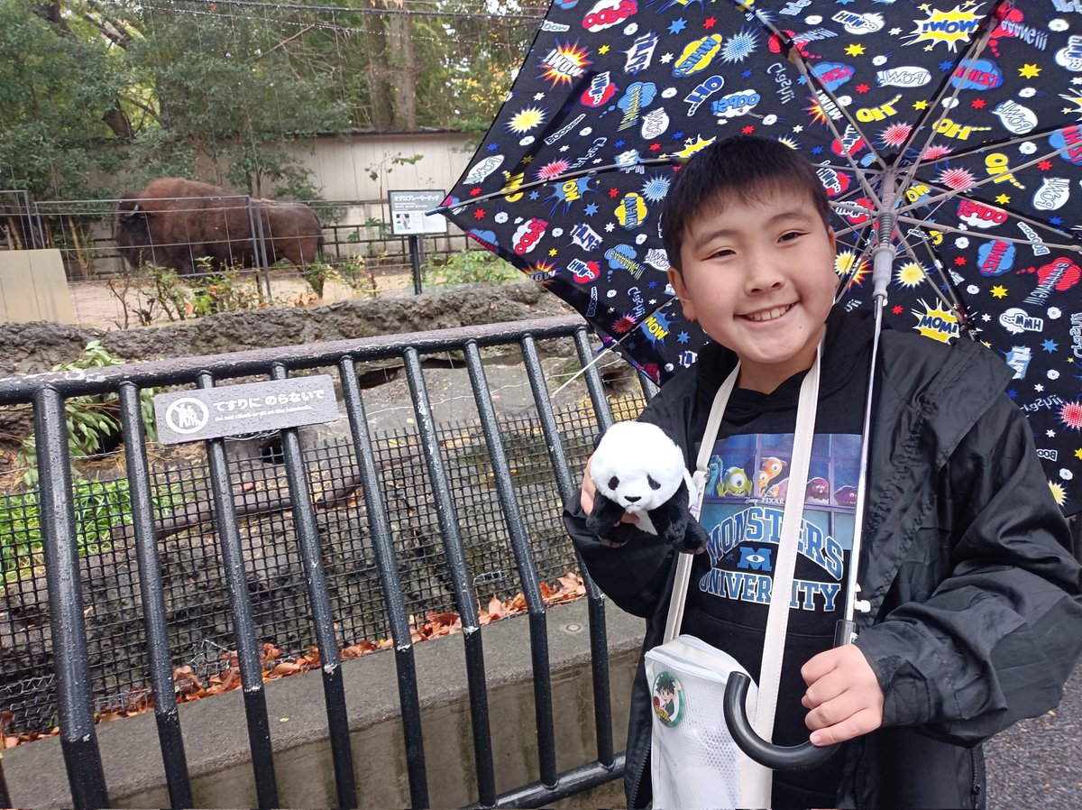 キンタロウ様10月20日 ケンシロウが動物園喜んでよかった！ゴリラ14時までだったから見れなく