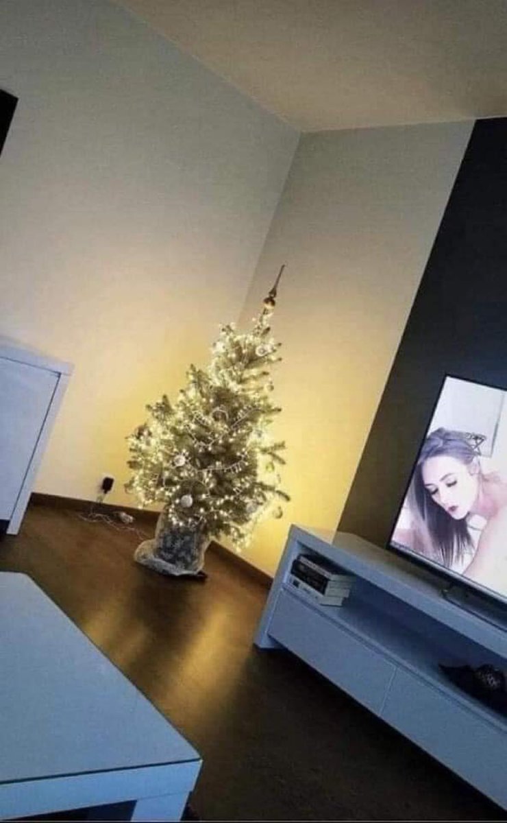 WujaJurek's tweet photo. Choinka ubrana, karp pływa w wannie, kolędy lecą w tle i czuć już klimat świąt. 
Wesołych Świąt dla Was 🎄 https://t.co/y7kih5HoFT