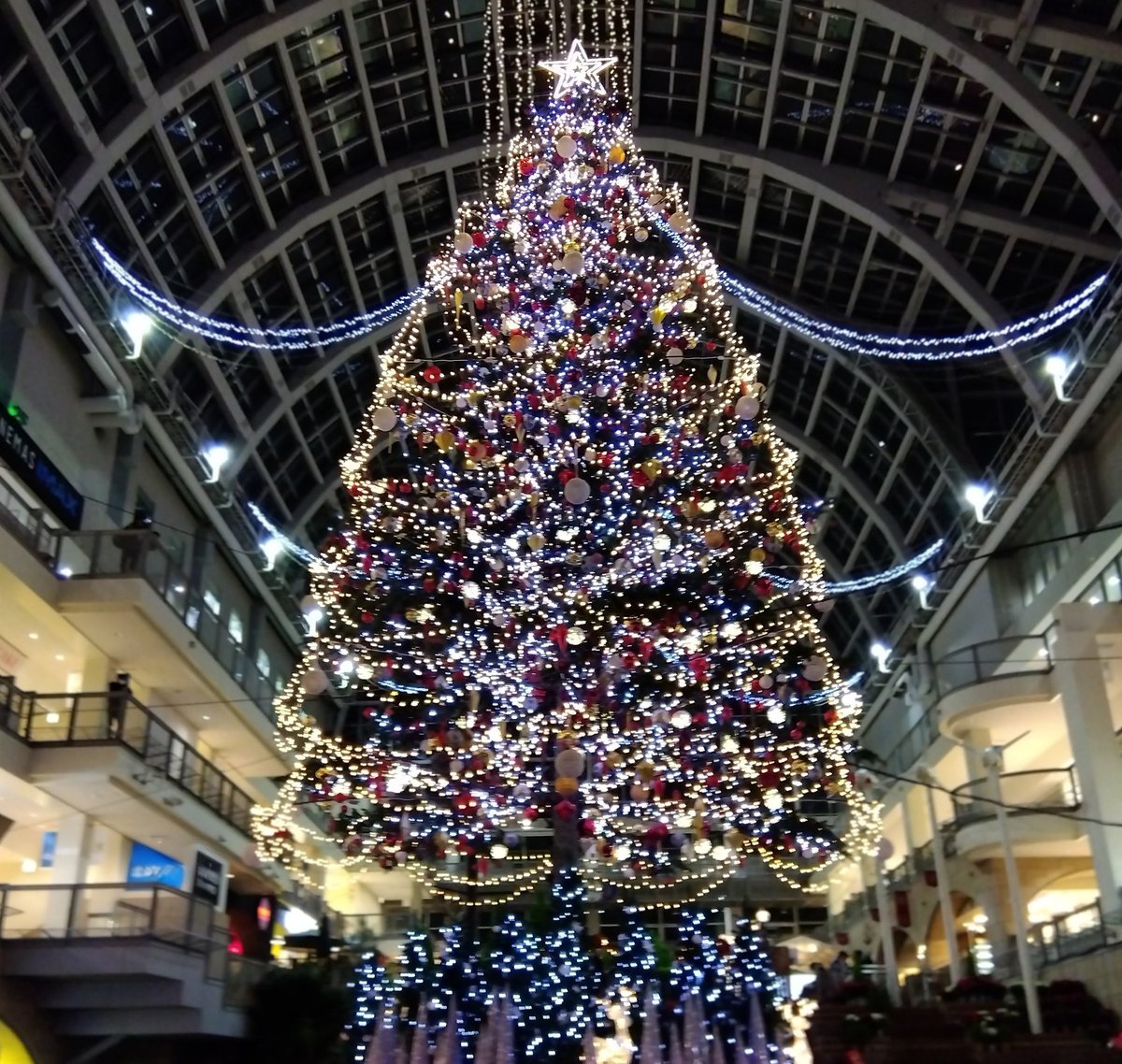 ✨🎄Happy Merry Christmas 🎄✨