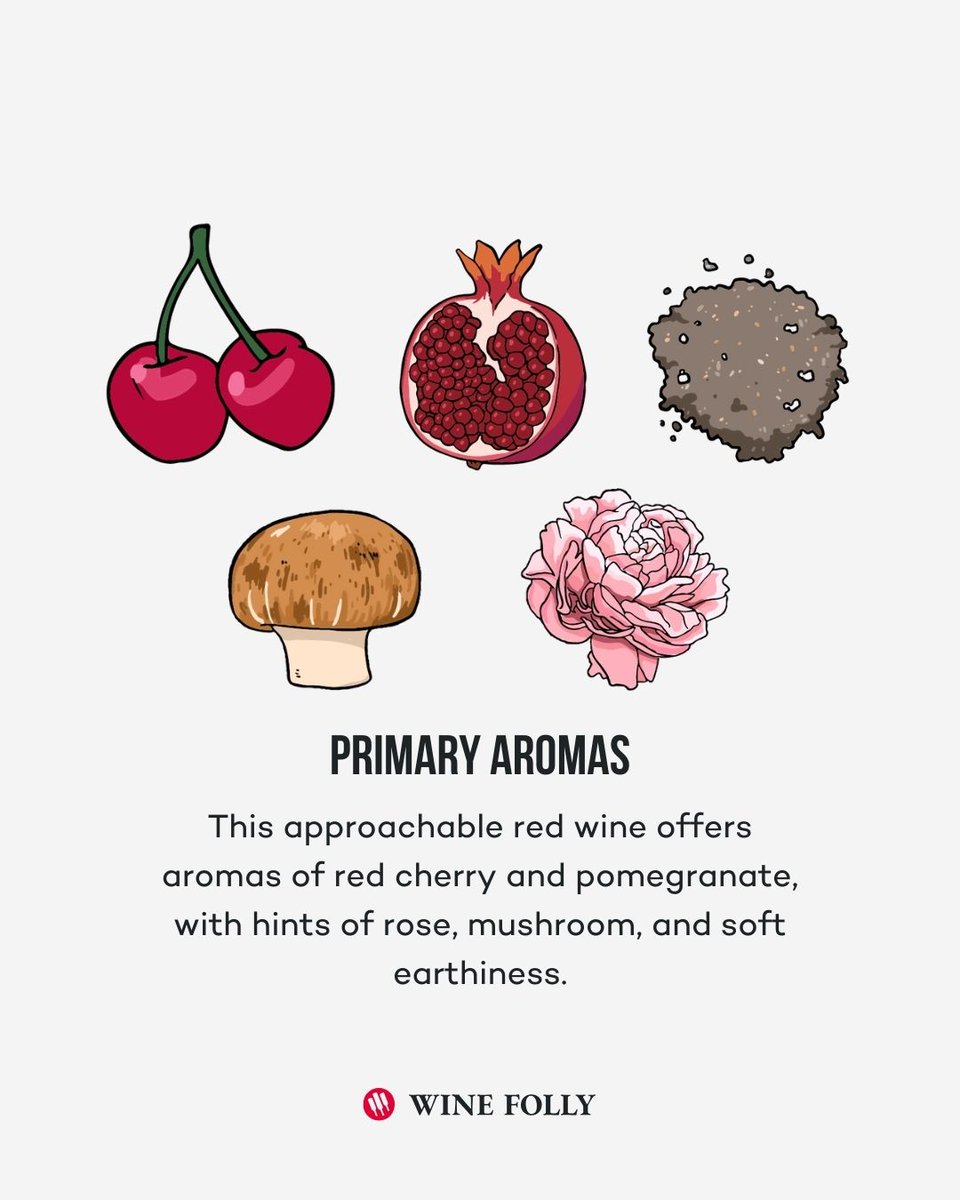 Wine Folly tweet media