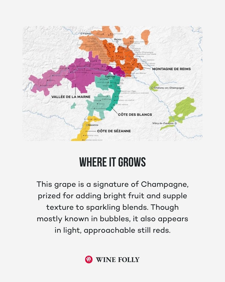 🍷 Think you know what it is? Tell us in the comments and give us a follow for weekly wine quizzes. 

🎯 Become a member for free and explore deeper winefolly.com/explore/

#guessthegrape #winequiz #wineeducation