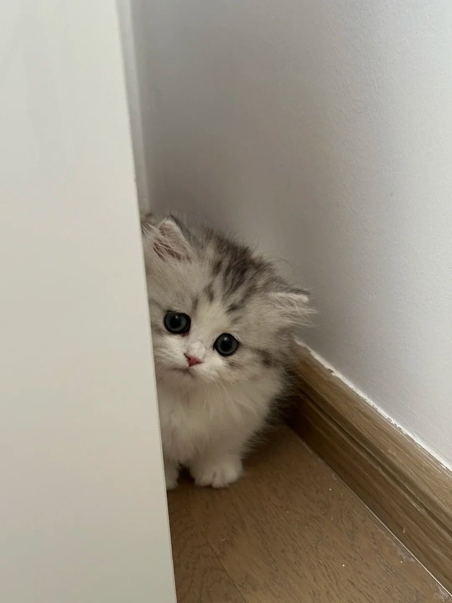 คุรมิ๊💖เบบี๋แป๋ว🥺🎀✨ tweet media