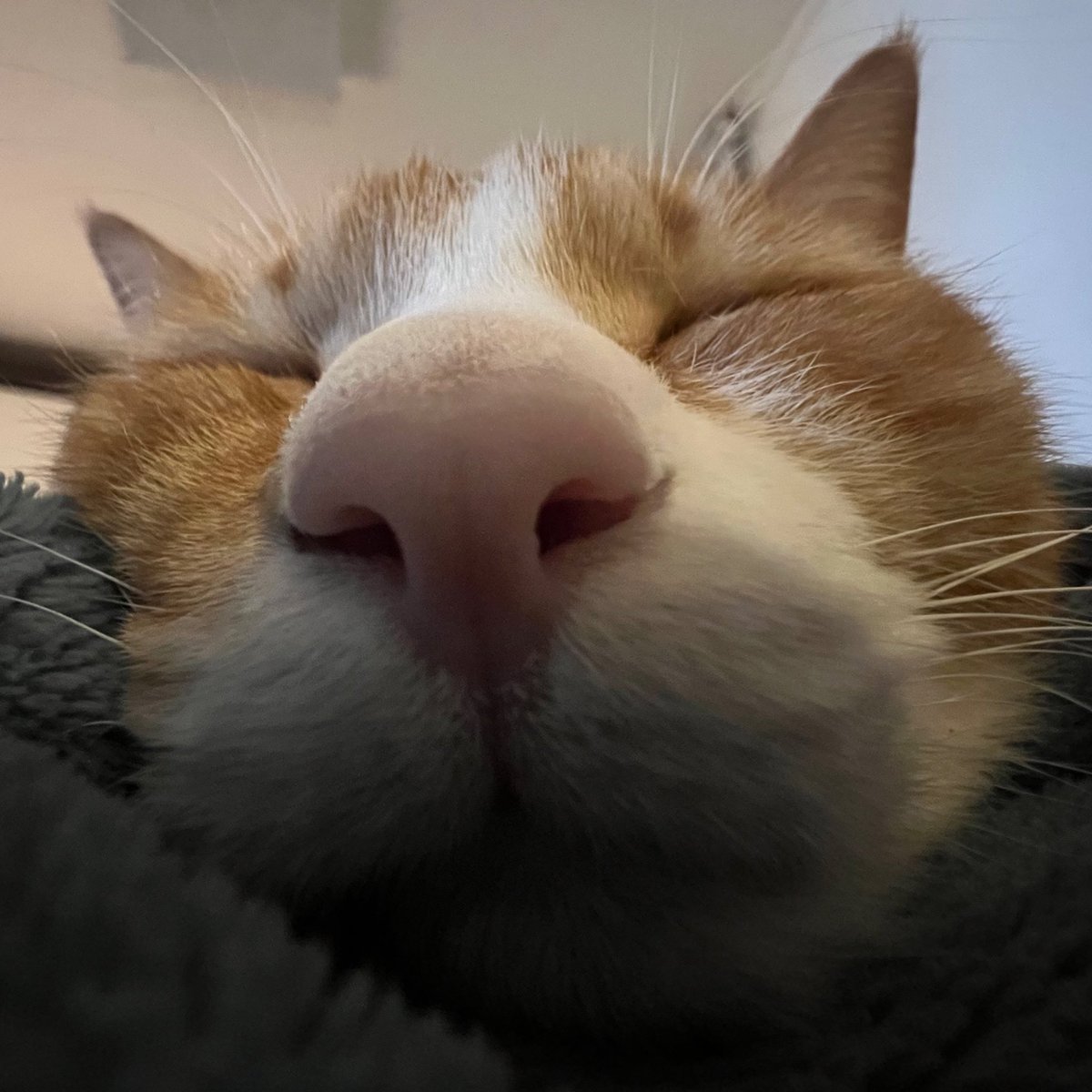 호도이 (@hodong609) on Twitter photo 