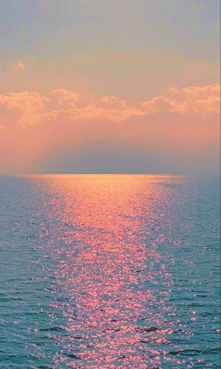 ocean (@hawsett4) on Twitter photo 