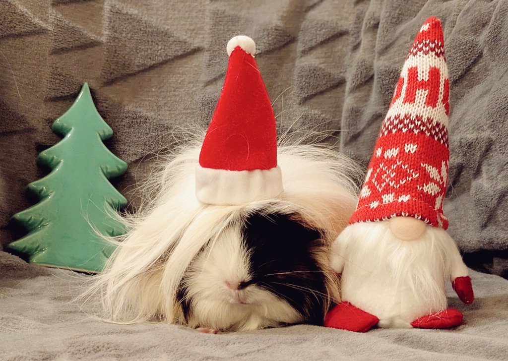 メリークリスムム2025