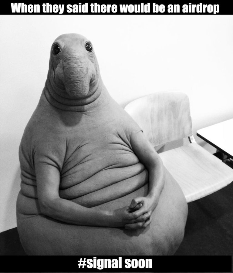 cryptohawk3s's tweet image. Hey
@SputnikNetwork🛰️ #memeDrop is here😄
#signal