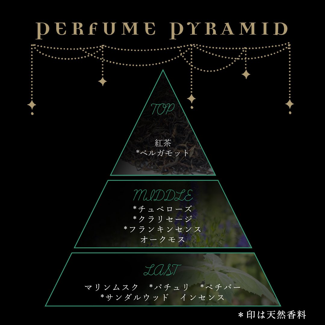 NOZ COLLABORATION tweet media