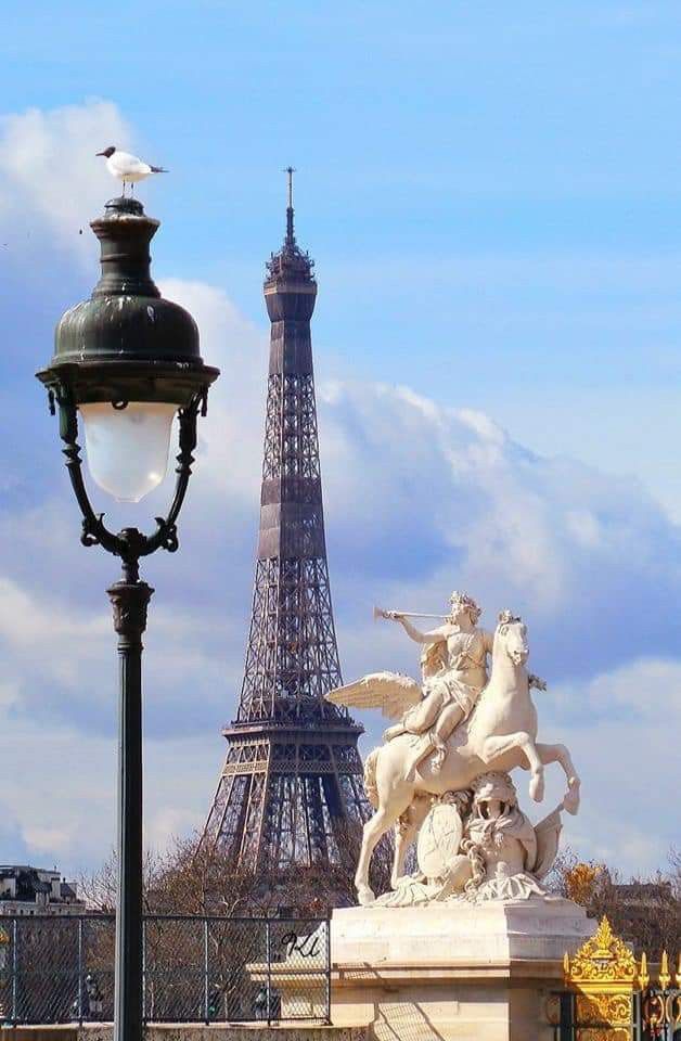 France Safety Travel tweet media