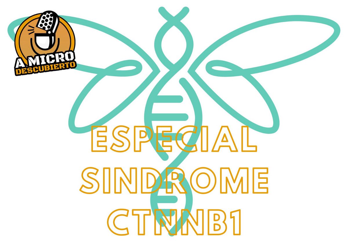 🚨PODCAST🚨

🎄Especial síndrome CTNNB1

🗣️<a href="/ctnnb1_espana/">Asociación Ctnnb1 España</a> (Estibaliz Martin)

🗣️Yeray González “El corredor solidario”
 
🧐Descubre todo sobre esta enfermedad rara

🫂Como lo viven las familias

➡️go.ivoox.com/rf/164907321

👂🏻Escúchalo!!