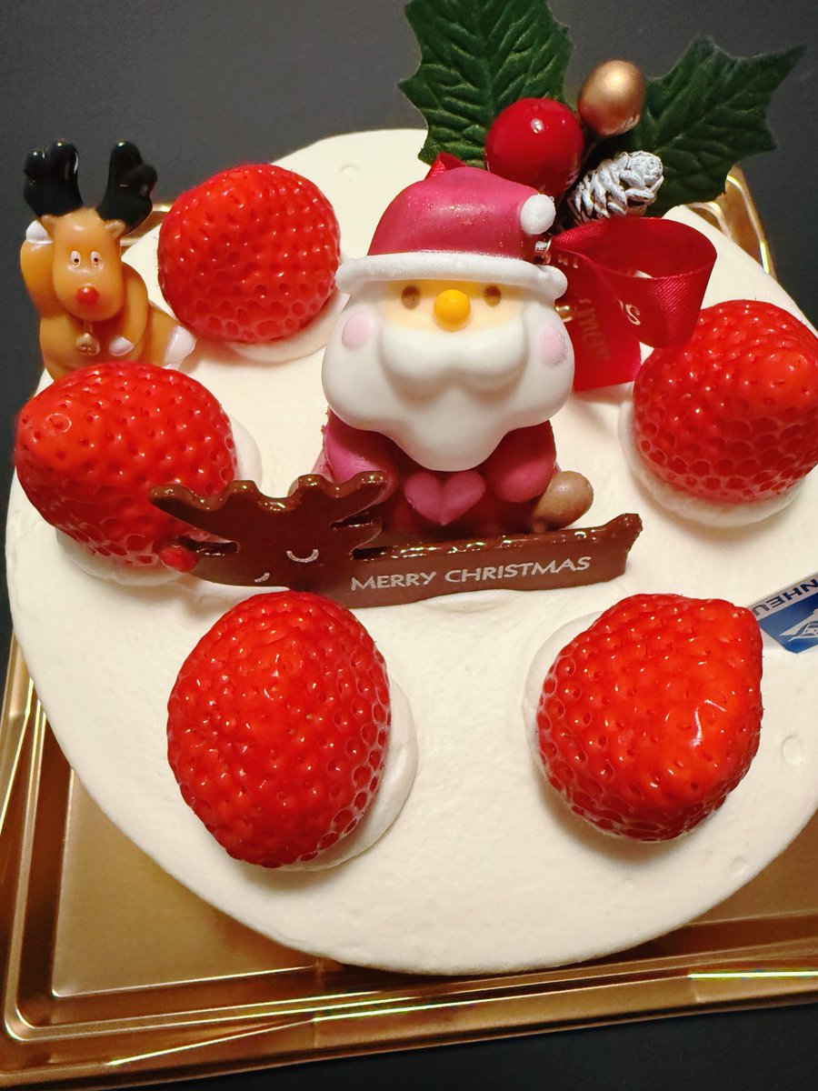 HidekoOkochi's tweet photo. メリークリスマス🎄 https://t.co/JsYP73E6m8