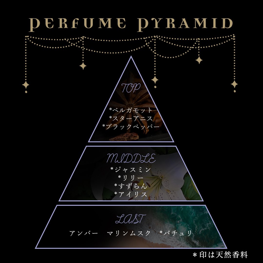 NOZ COLLABORATION tweet media