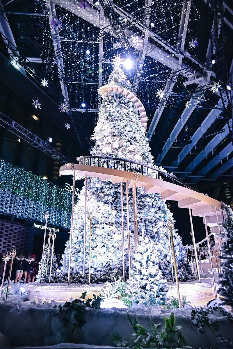 聖なる夜空に願いを。