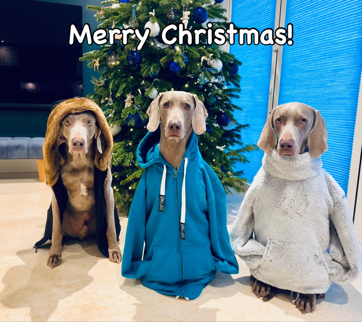 Sarah Armstrong-Smith tweet media