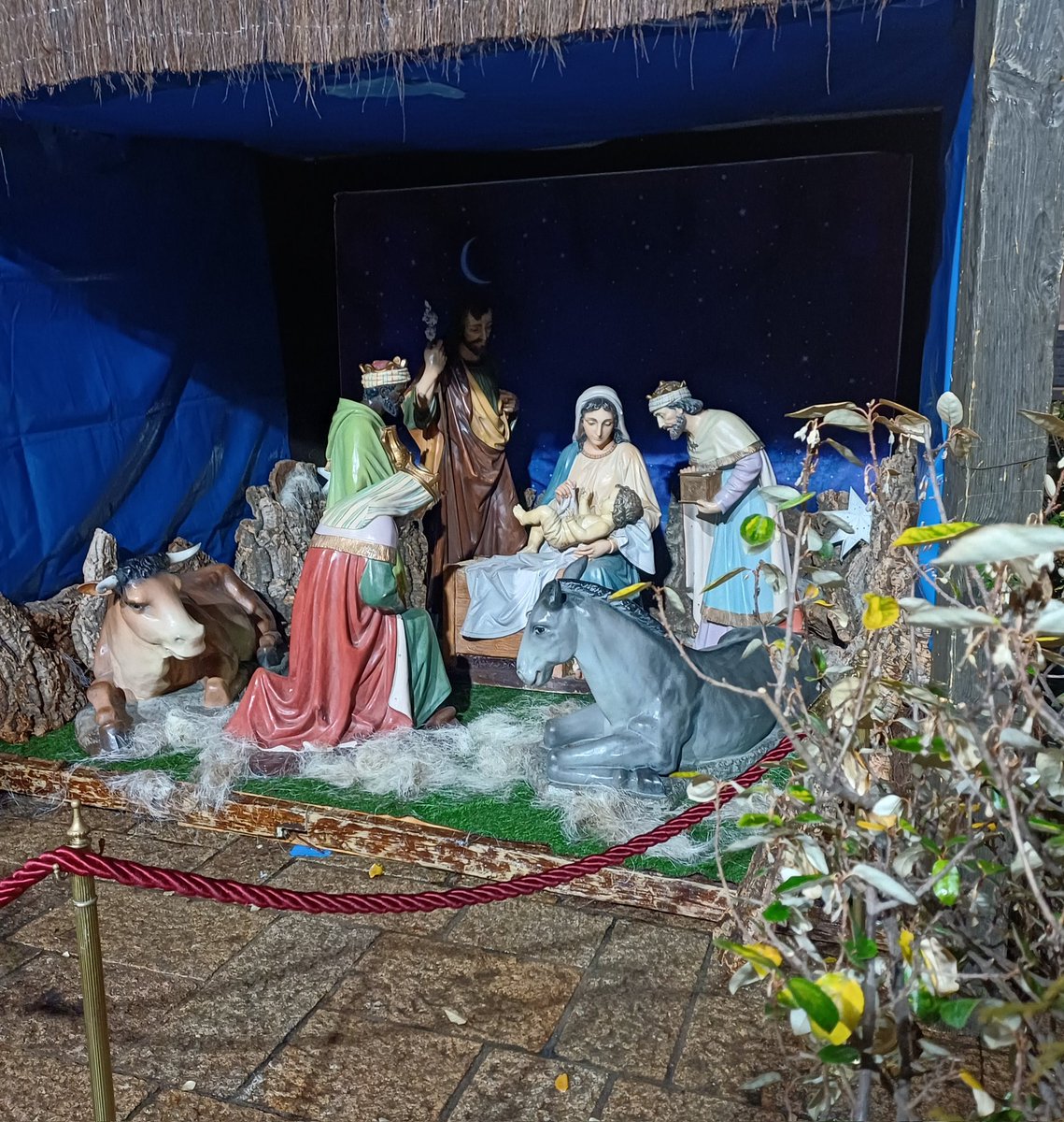 Erzsébet tweet media