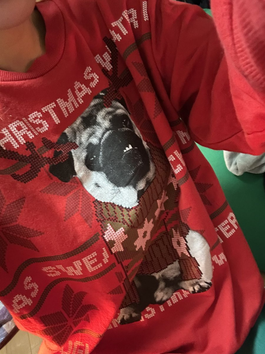 Post by パグお(パグ愛好家) on X: ほすぃ・・・