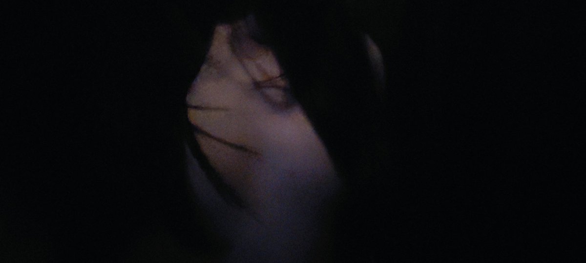 酒儿酒汁 tweet media