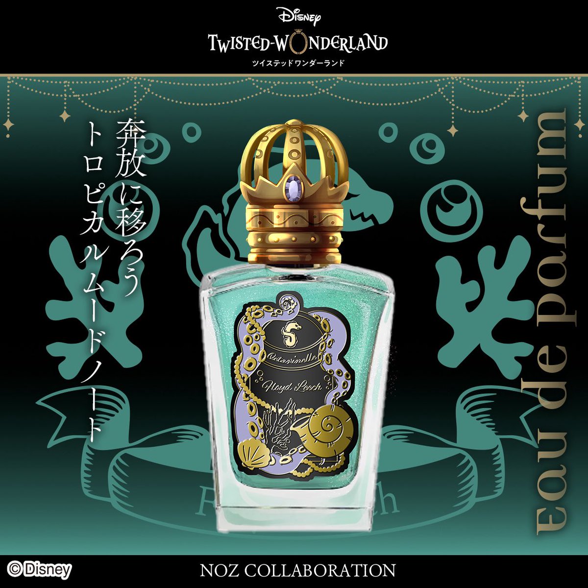 NOZ COLLABORATION tweet media