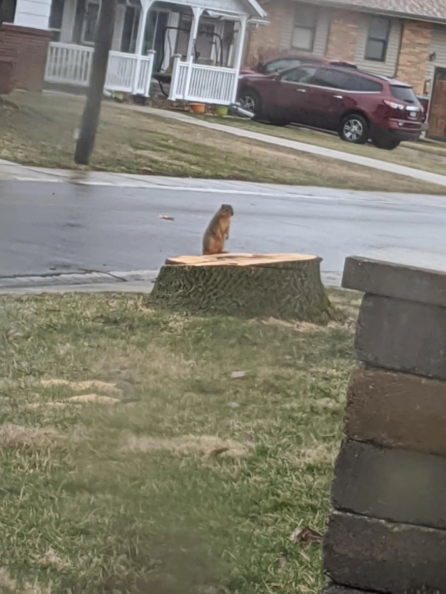 Nature is Amazing ☘️ tweet media