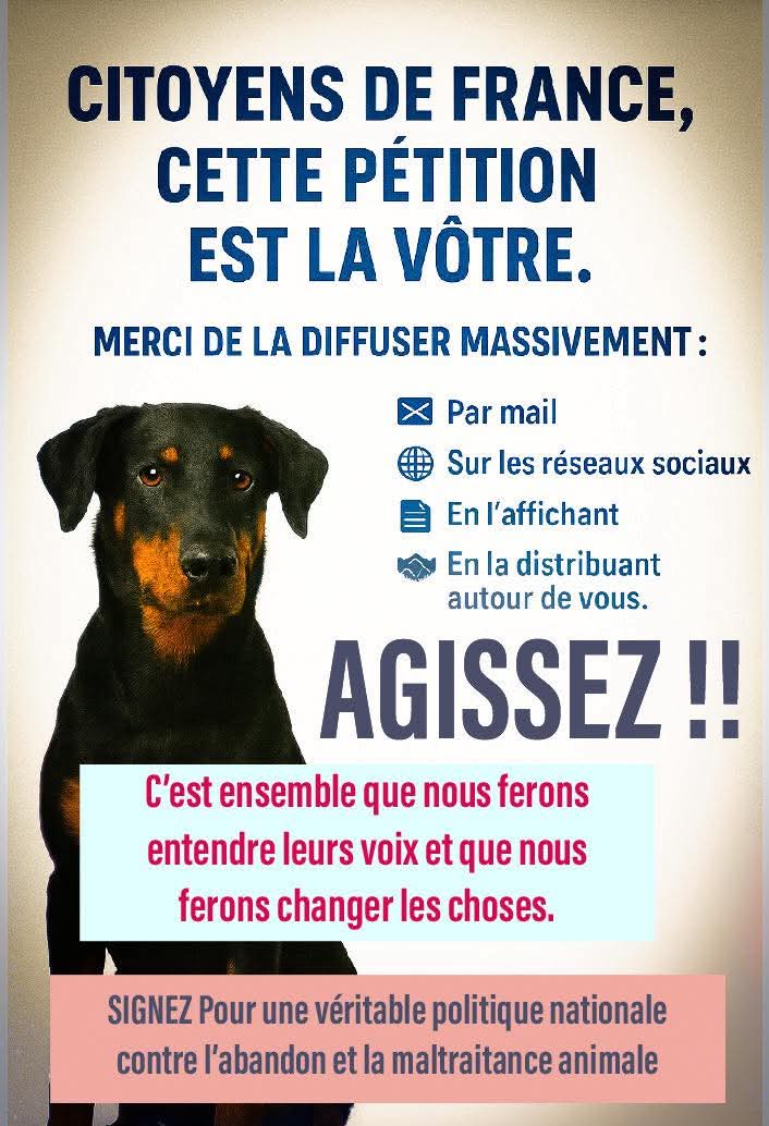 20320Vero's tweet image. Objectif 5000 signatures Merci de signer en masse SVP 🙏 🍀 
Ensemble refusons l'euthanasie de convenance et la maltraitance sur nos amis les animaux 🙏✍️✍️✍️
petitions.assemblee-nationale.fr/initiatives/i-…