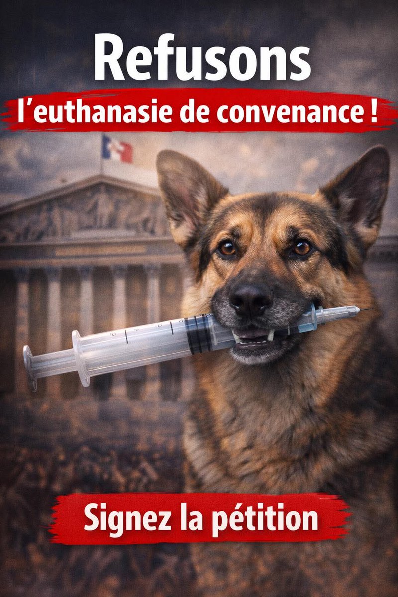 20320Vero's tweet image. Objectif 5000 signatures Merci de signer en masse SVP 🙏 🍀 
Ensemble refusons l'euthanasie de convenance et la maltraitance sur nos amis les animaux 🙏✍️✍️✍️
petitions.assemblee-nationale.fr/initiatives/i-…